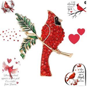 Rhinestone Cardinal Brooch Pin Red Crystals Redbird New St Louis Basebal…